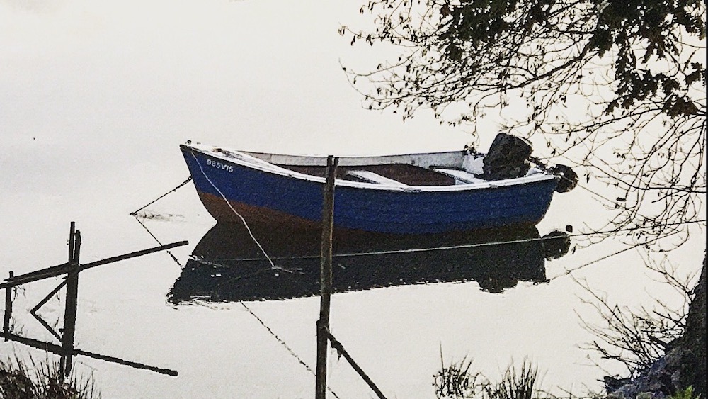 An image of a boat